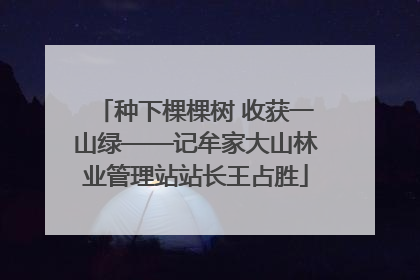 种下棵棵树 收获一山绿——记牟家大山林业管理站站长王占胜