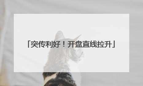 突传利好！开盘直线拉升