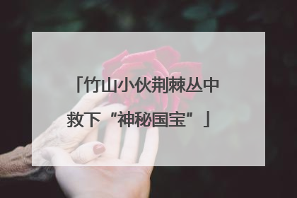 竹山小伙荆棘丛中救下“神秘国宝”