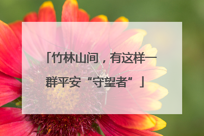 竹林山间，有这样一群平安“守望者”