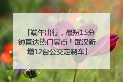端午出行，最短15分钟直达热门景点！武汉新增12台公交定制车