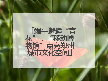 端午邂逅“青花”，“移动博物馆”点亮郑州城市文化空间