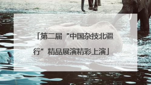 第二届“中国杂技北疆行”精品展演精彩上演