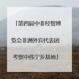第四届中非经贸博览会非洲外宾代表团考察中伟宁乡基地