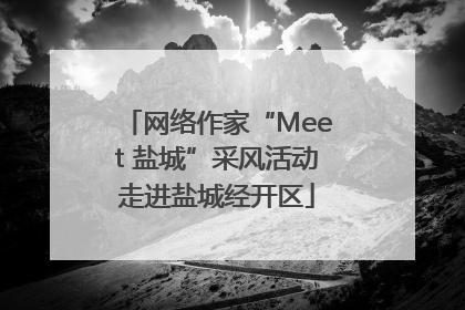网络作家“Meet 盐城”采风活动走进盐城经开区