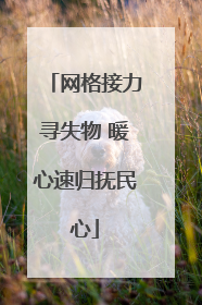 网格接力寻失物 暖心速归抚民心
