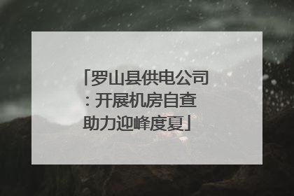罗山县供电公司：开展机房自查 助力迎峰度夏