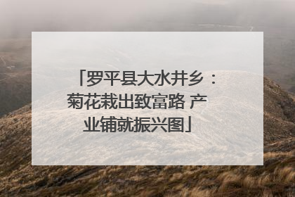 罗平县大水井乡：菊花栽出致富路 产业铺就振兴图