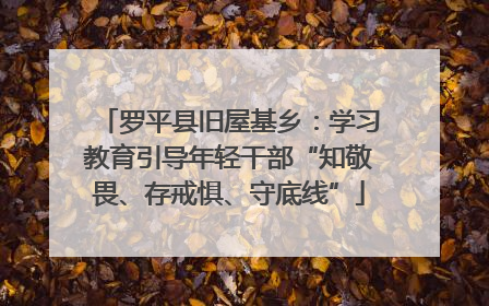 罗平县旧屋基乡：学习教育引导年轻干部“知敬畏、存戒惧、守底线”