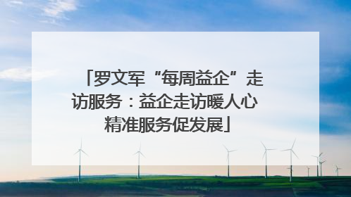 罗文军“每周益企”走访服务：益企走访暖人心 精准服务促发展
