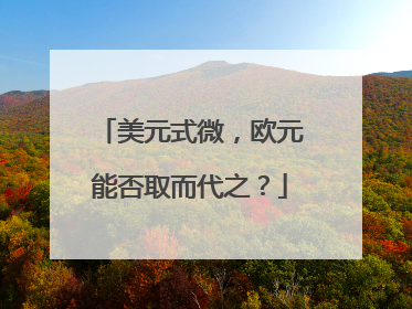 美元式微，欧元能否取而代之？