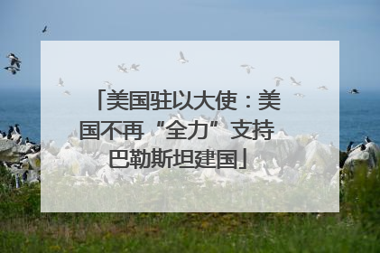 美国驻以大使：美国不再“全力”支持巴勒斯坦建国
