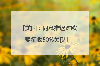 美国：同意推迟对欧盟征收50%关税