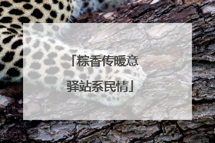 粽香传暖意 驿站系民情