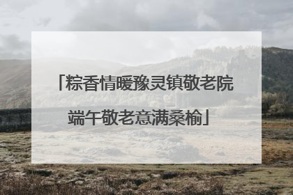 粽香情暖豫灵镇敬老院 端午敬老意满桑榆