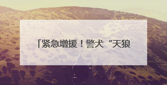 紧急增援！警犬“天狼”出动找到走失老人