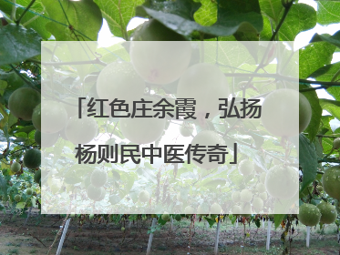 红色庄余霞，弘扬杨则民中医传奇