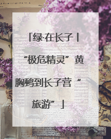 绿·在长子丨“极危精灵”黄胸鹀到长子营“旅游”