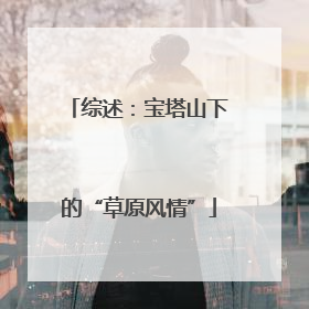综述：宝塔山下的“草原风情”