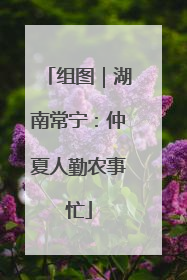 组图｜湖南常宁：仲夏人勤农事忙