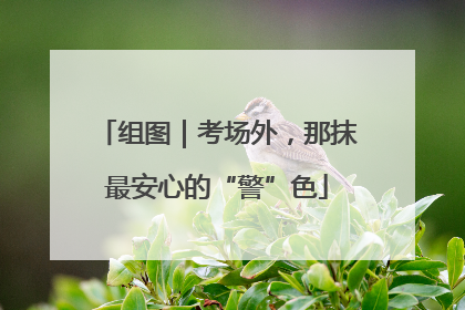 组图｜考场外，那抹最安心的“警”色