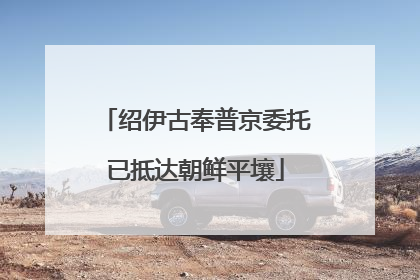 绍伊古奉普京委托已抵达朝鲜平壤