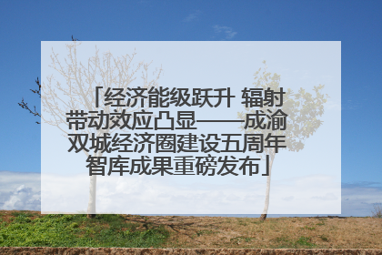 经济能级跃升 辐射带动效应凸显——成渝双城经济圈建设五周年智库成果重磅发布