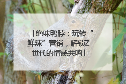 绝味鸭脖：玩转“鲜辣”营销，解锁Z世代的情感共鸣