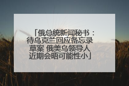 俄总统新闻秘书：待乌克兰回应备忘录草案 俄美乌领导人近期会晤可能性小
