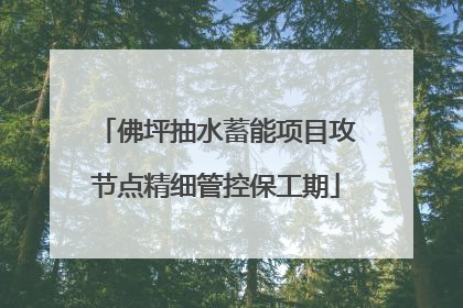 佛坪抽水蓄能项目攻节点精细管控保工期