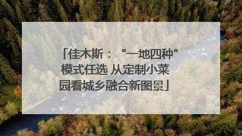 佳木斯：“一地四种” 模式任选 从定制小菜园看城乡融合新图景