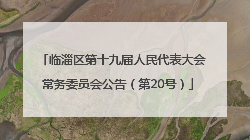 临淄区第十九届人民代表大会常务委员会公告（第20号）