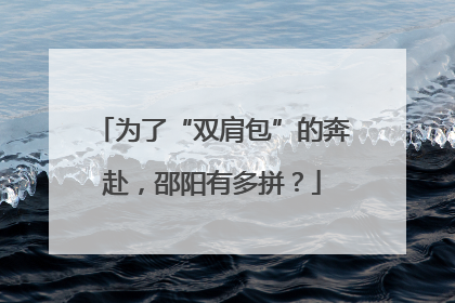 为了“双肩包”的奔赴，邵阳有多拼？