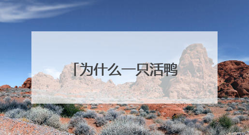 为什么一只活鸭上百元，一只烤鸭只要25元？