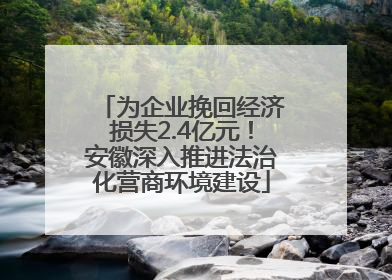 为企业挽回经济损失2.4亿元！安徽深入推进法治化营商环境建设