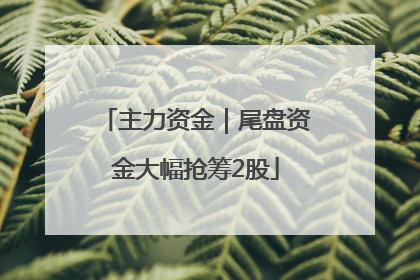 主力资金｜尾盘资金大幅抢筹2股