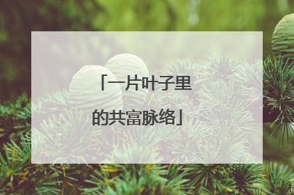 一片叶子里的共富脉络
