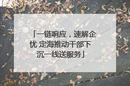 一链响应，速解企忧 定海推动干部下沉一线送服务
