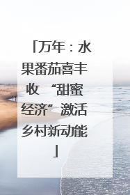万年：水果番茄喜丰收 “甜蜜经济”激活乡村新动能