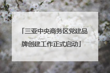 三亚中央商务区党建品牌创建工作正式启动