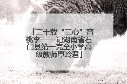 三十载“三心”育桃李——记湖南省石门县第一完全小学高级教师覃玲君