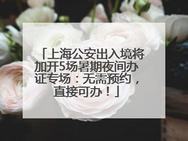 上海公安出入境将加开5场暑期夜间办证专场：无需预约，直接可办！