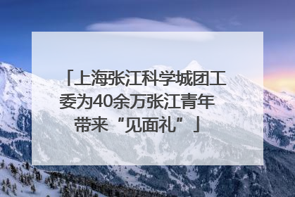 上海张江科学城团工委为40余万张江青年带来“见面礼”