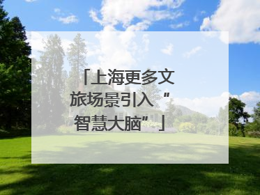 上海更多文旅场景引入“智慧大脑”