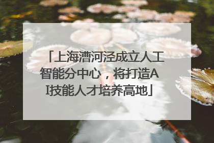 上海漕河泾成立人工智能分中心，将打造AI技能人才培养高地