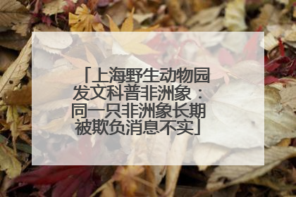 上海野生动物园发文科普非洲象：同一只非洲象长期被欺负消息不实