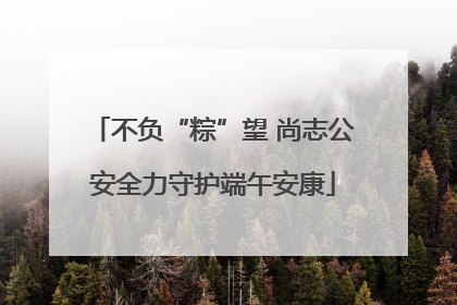 不负“粽”望 尚志公安全力守护端午安康