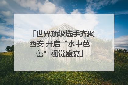 世界顶级选手齐聚西安 开启“水中芭蕾”视觉盛宴
