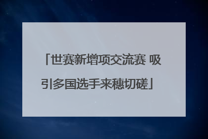 世赛新增项交流赛 吸引多国选手来穗切磋