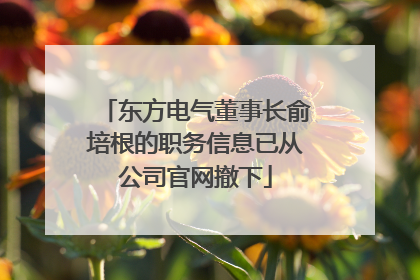 东方电气董事长俞培根的职务信息已从公司官网撤下